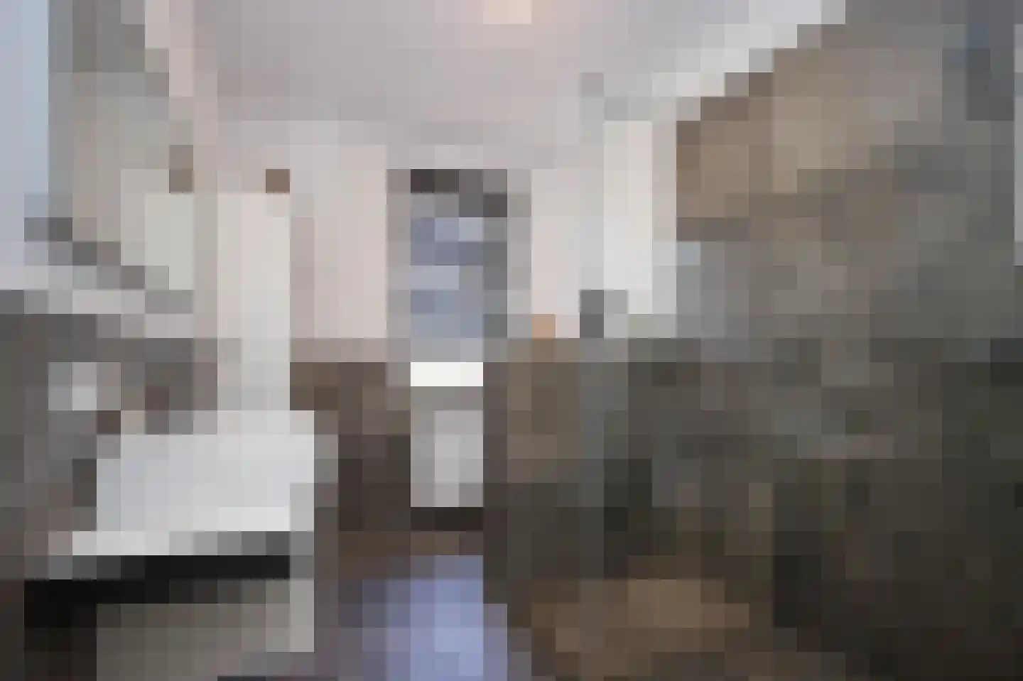 Laan van Othene 106 Terneuzen thumbnail 13