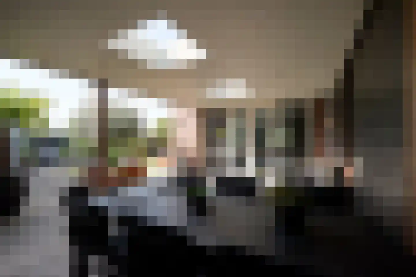 Laan van Othene 106 Terneuzen thumbnail 15