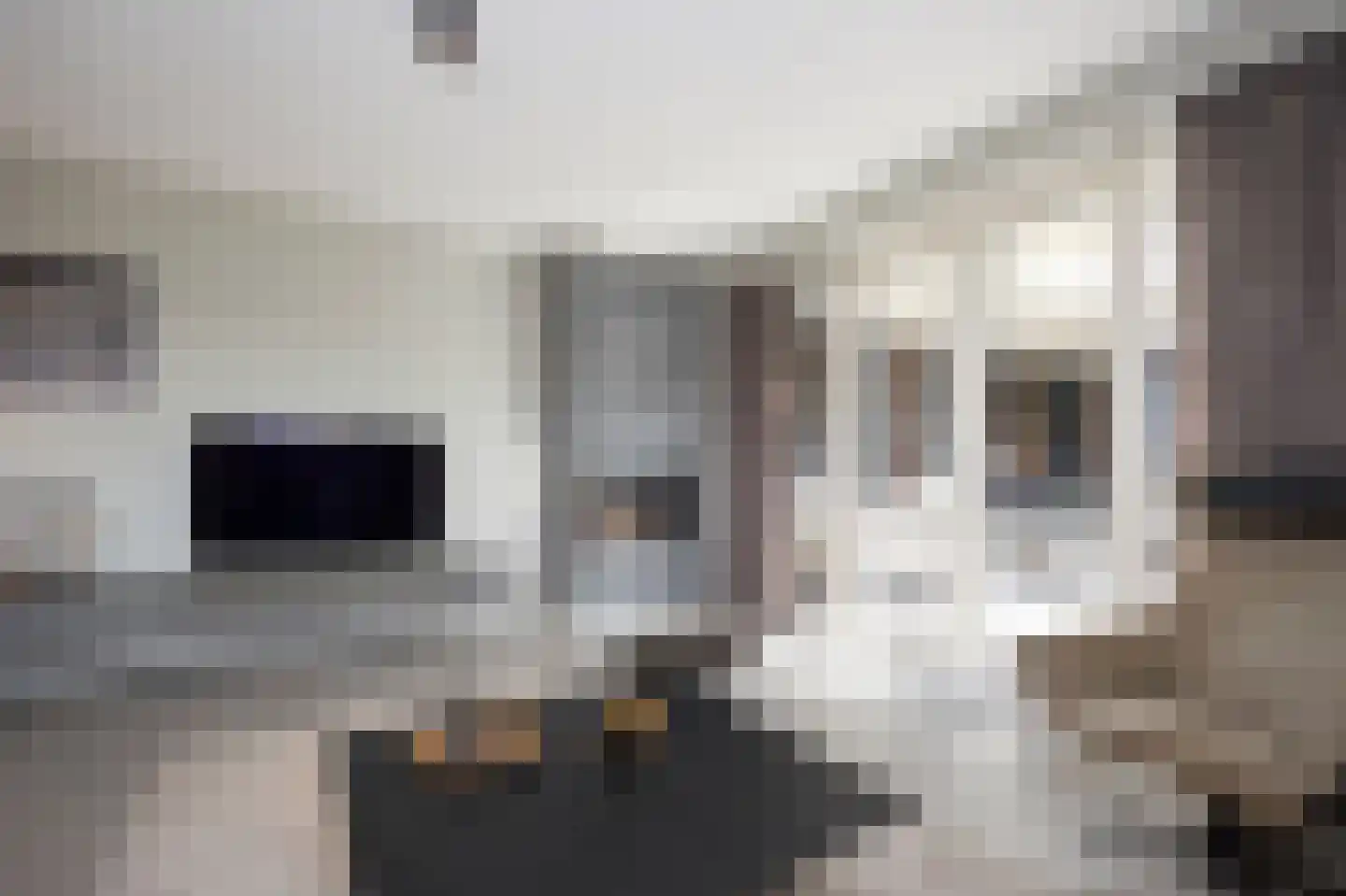 Laan van Othene 106 Terneuzen thumbnail 4