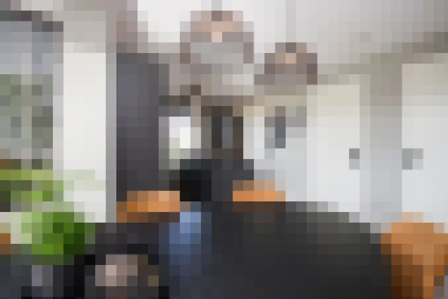 Laan van Othene 106 Terneuzen thumbnail 6