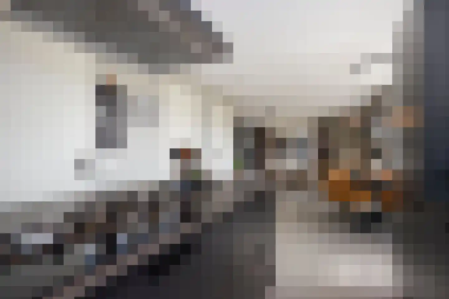 Laan van Othene 106 Terneuzen thumbnail 7
