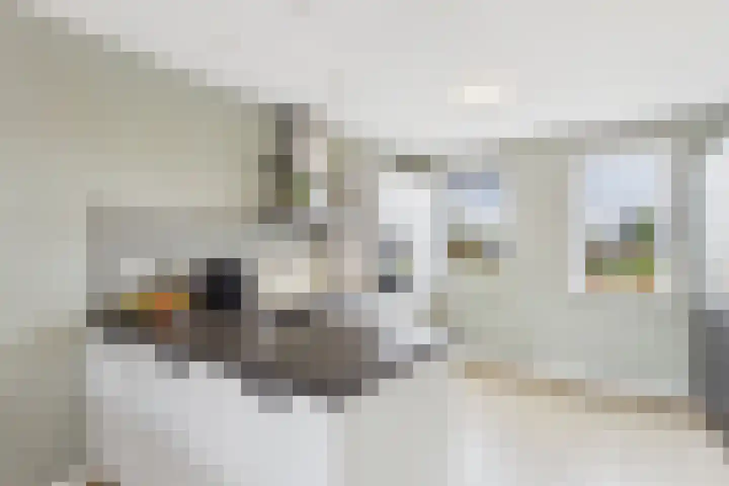 Laan van Othene 108 b Terneuzen thumbnail 14