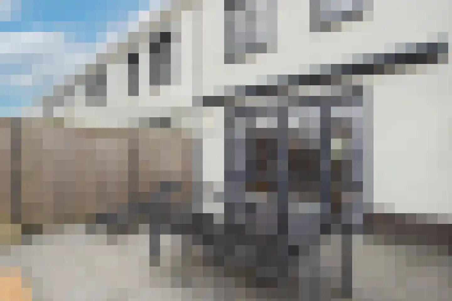Laan van Othene 108 b Terneuzen thumbnail 37