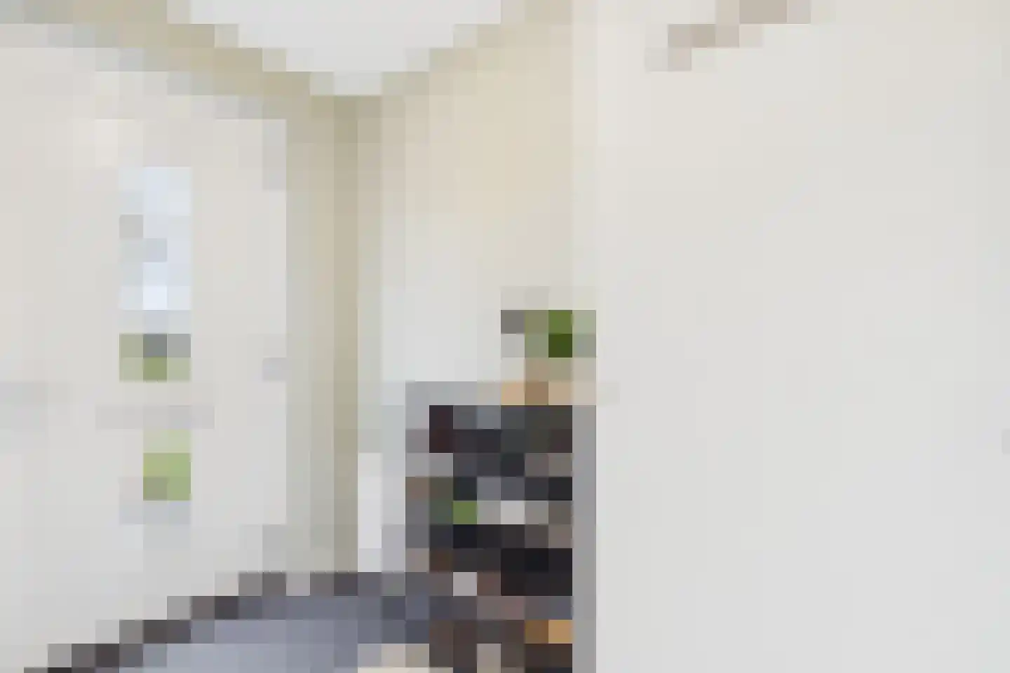 Laan van Othene 108 b Terneuzen thumbnail 9