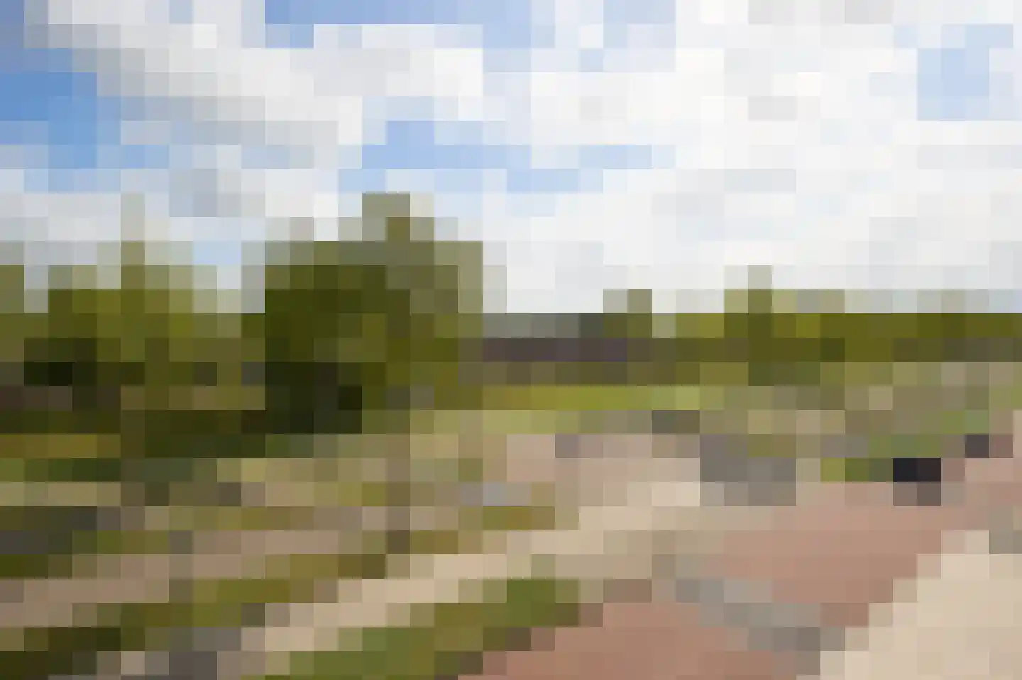 Laan van Othene 21 Terneuzen thumbnail 13