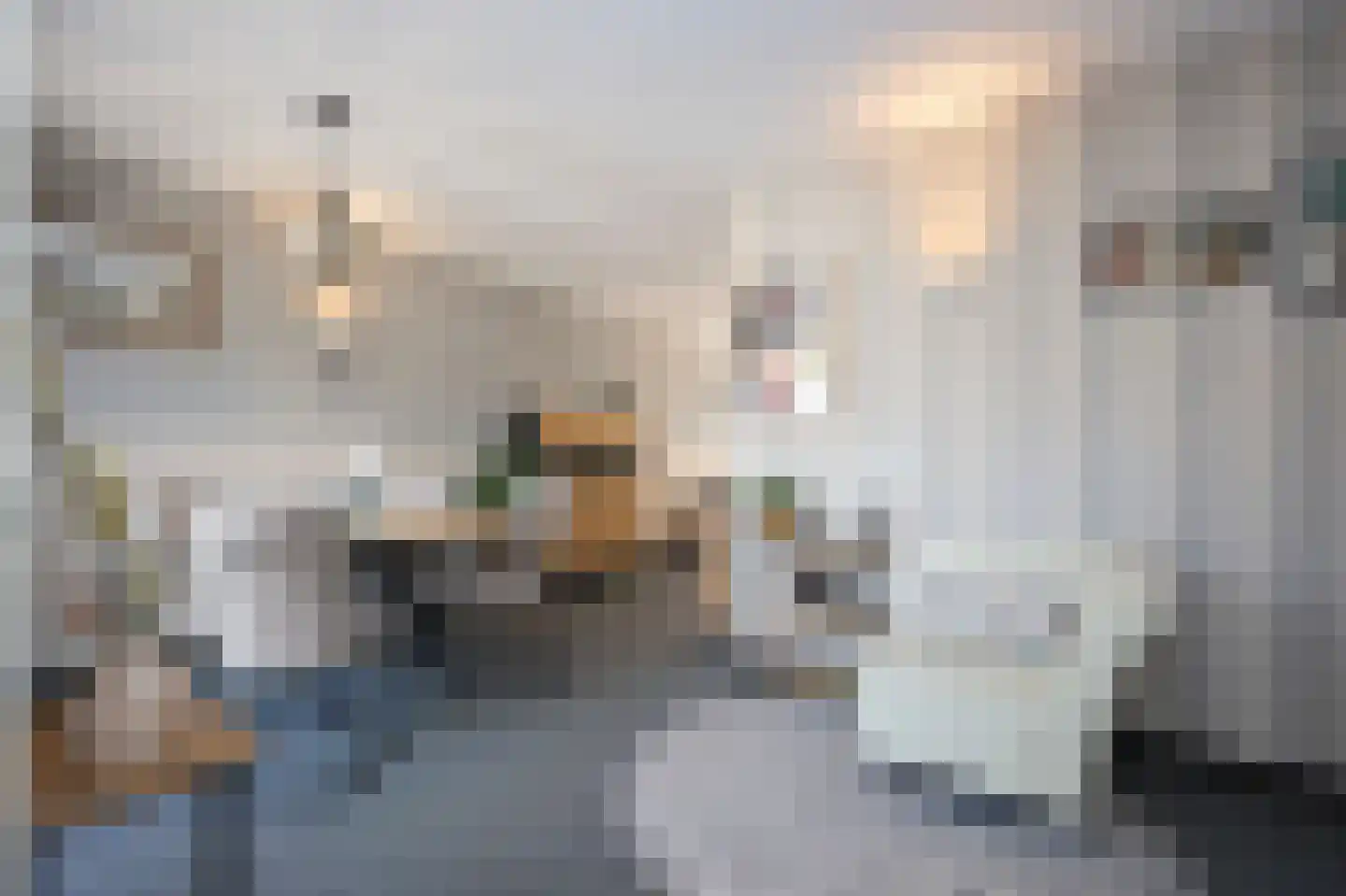 Laan van Othene 21 Terneuzen thumbnail 4