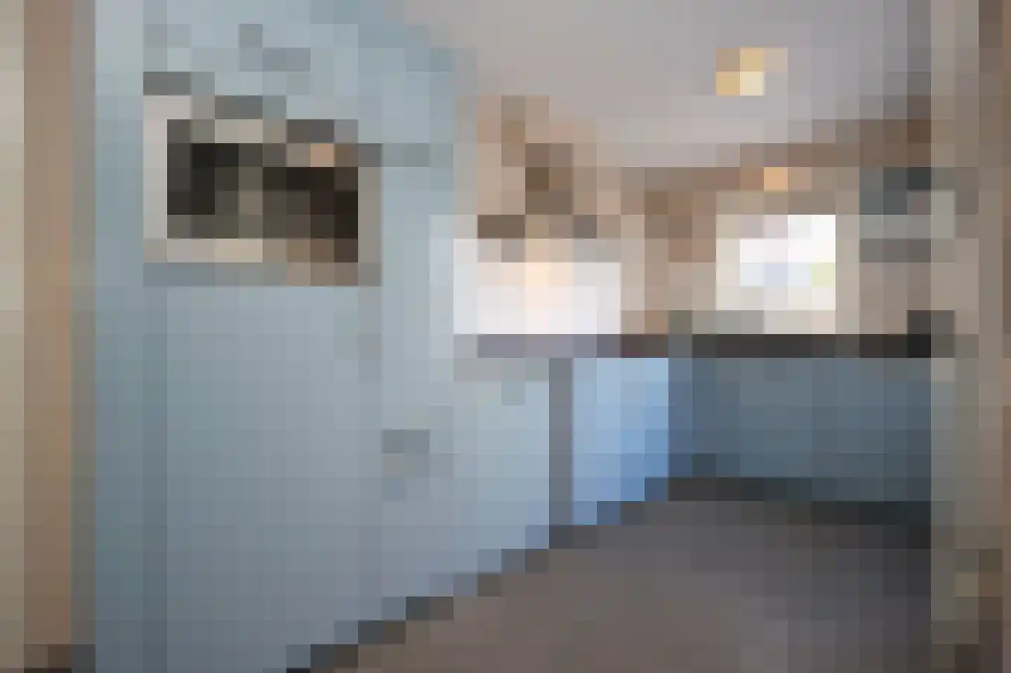 Laan van Othene 21 Terneuzen thumbnail 5