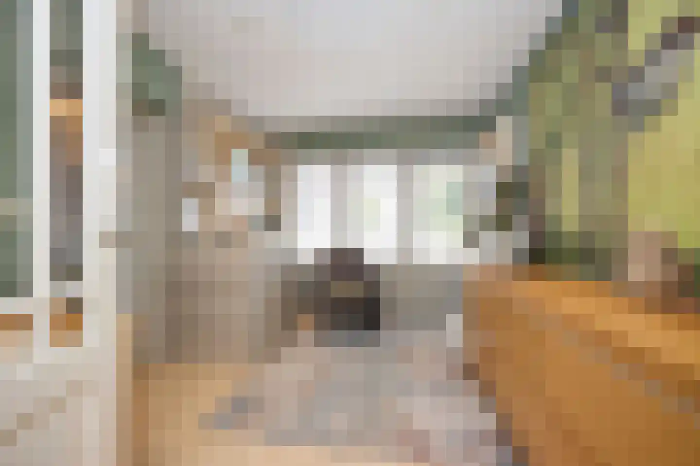 Laan van Othene 21 Terneuzen thumbnail 6
