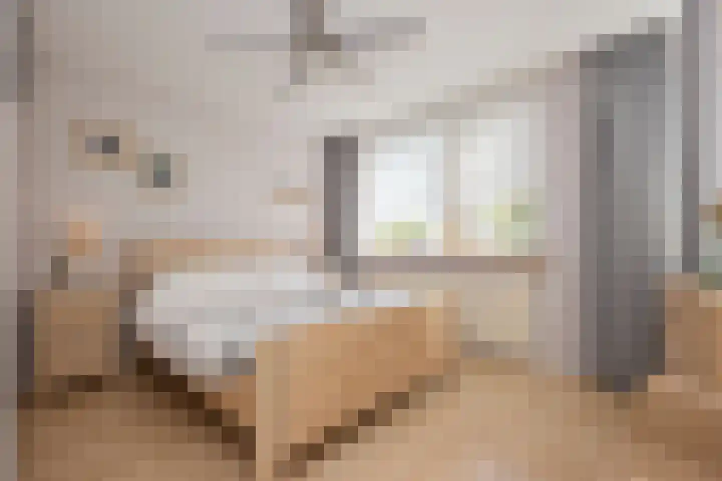 Laan van Othene 21 Terneuzen thumbnail 9