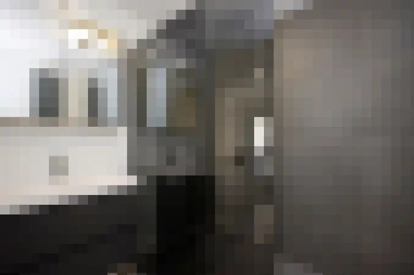 Laan van Othene 33 Terneuzen thumbnail 10