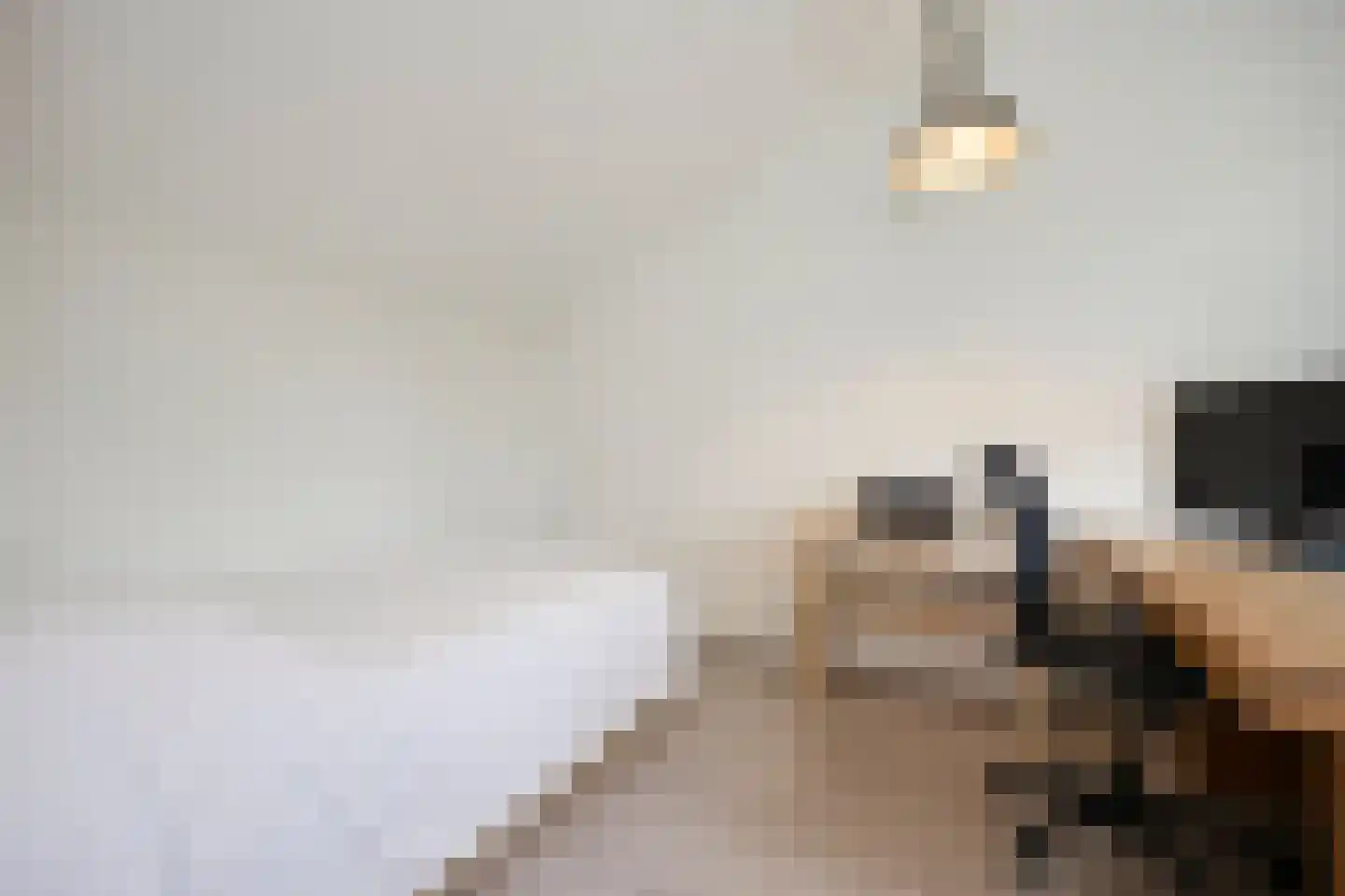 Laan van Othene 33 Terneuzen thumbnail 11