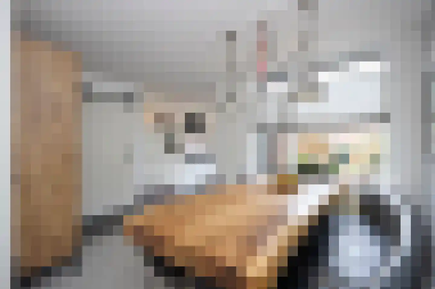 Laan van Othene 33 Terneuzen thumbnail 4