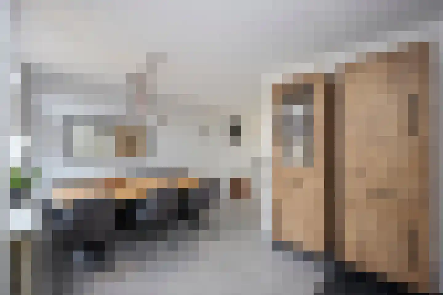 Laan van Othene 33 Terneuzen thumbnail 6