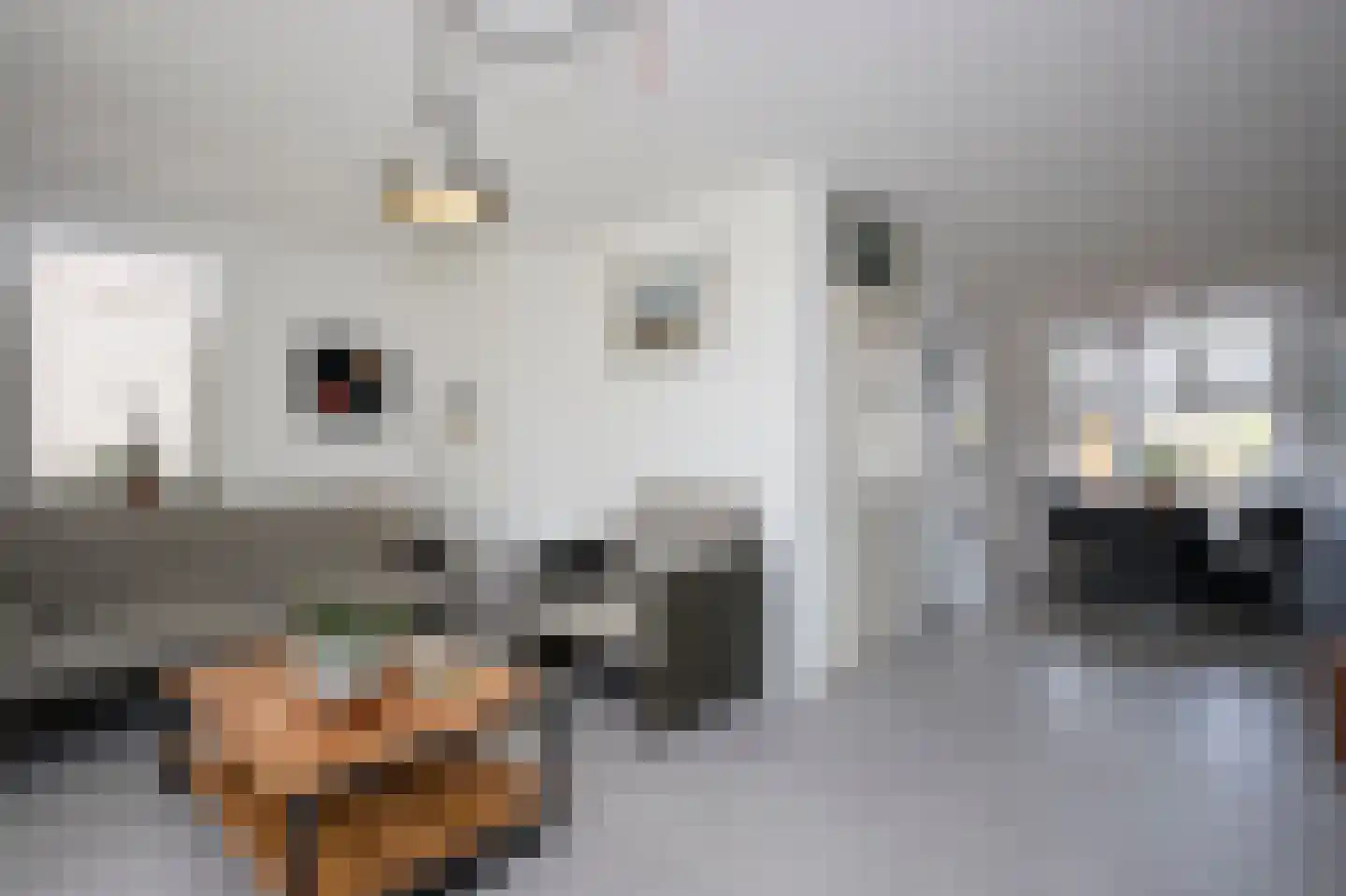 Laan van Othene 33 Terneuzen thumbnail 7