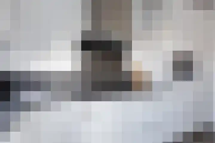 Laan van Othene 35 Terneuzen thumbnail 14