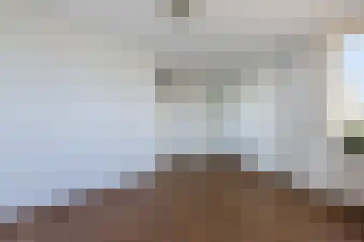 Laan van Othene 35 Terneuzen thumbnail 17