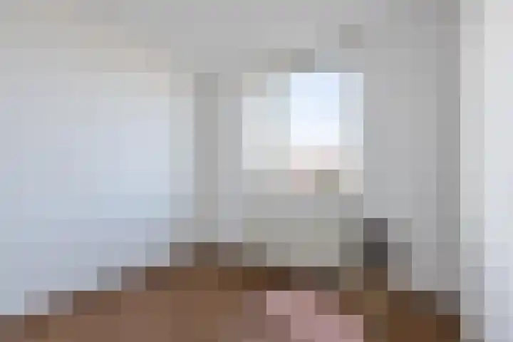 Laan van Othene 35 Terneuzen thumbnail 18