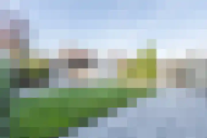 Laan van Othene 35 Terneuzen thumbnail 28