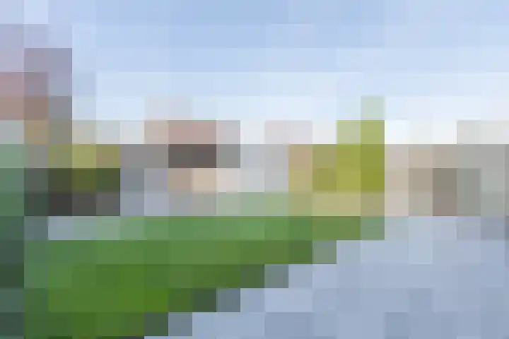Laan van Othene 35 Terneuzen foto 3