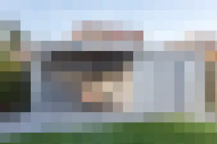Laan van Othene 35 Terneuzen thumbnail 30