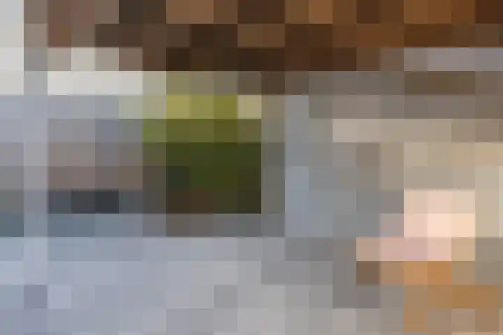 Laan van Othene 35 Terneuzen thumbnail 31