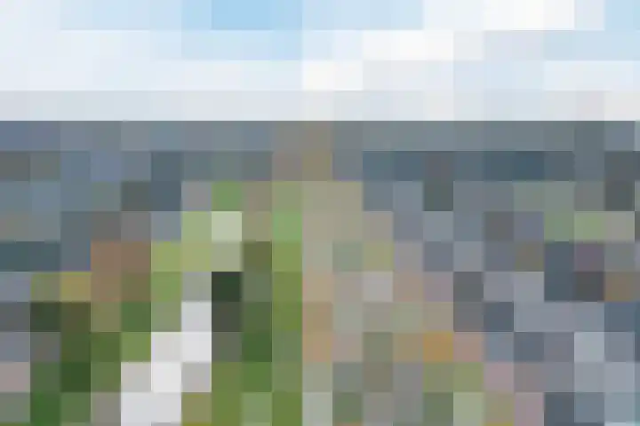 Laan van Othene 35 Terneuzen thumbnail 33