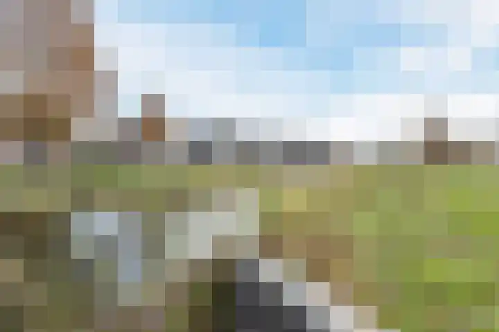Laan van Othene 35 Terneuzen thumbnail 34