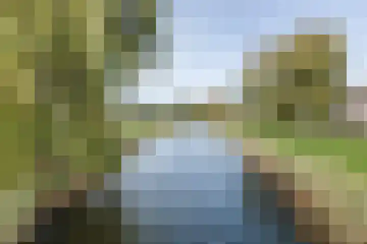 Laan van Othene 35 Terneuzen thumbnail 35