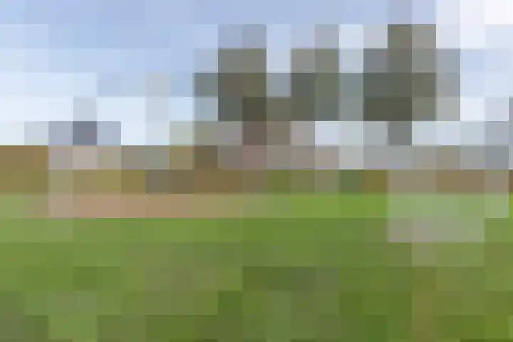 Laan van Othene 35 Terneuzen thumbnail 36