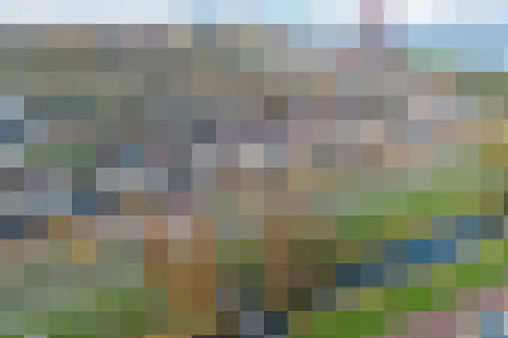 Laan van Othene 35 Terneuzen thumbnail 37