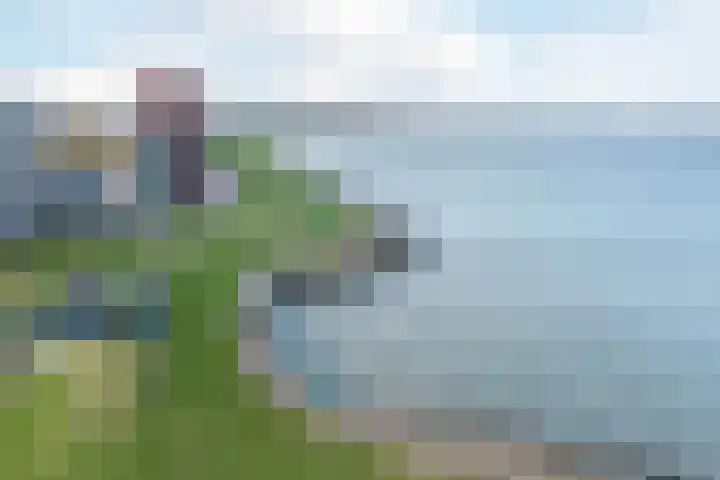 Laan van Othene 35 Terneuzen thumbnail 38