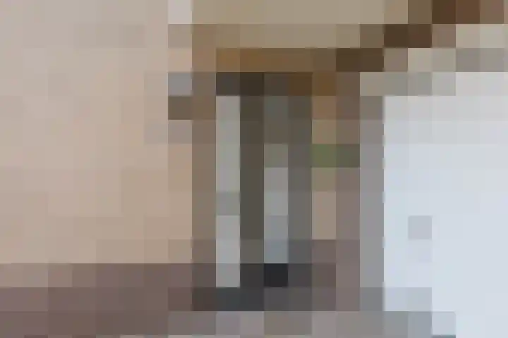 Laan van Othene 35 Terneuzen thumbnail 4