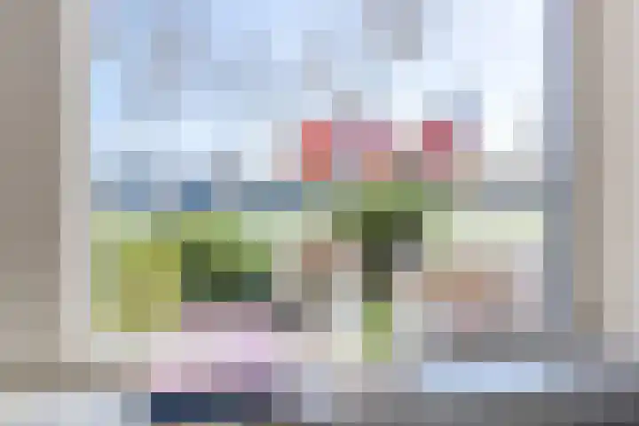 Laan van Othene 35 Terneuzen thumbnail 8