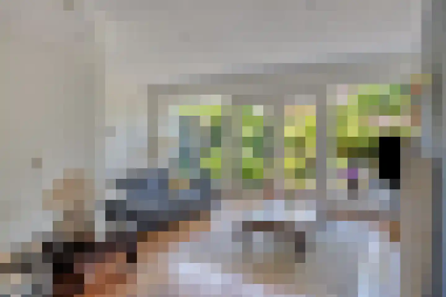 Laan van Othene 45 Terneuzen thumbnail 10