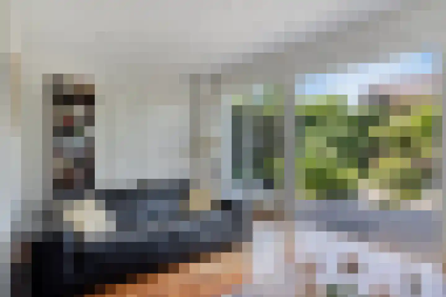 Laan van Othene 45 Terneuzen thumbnail 11