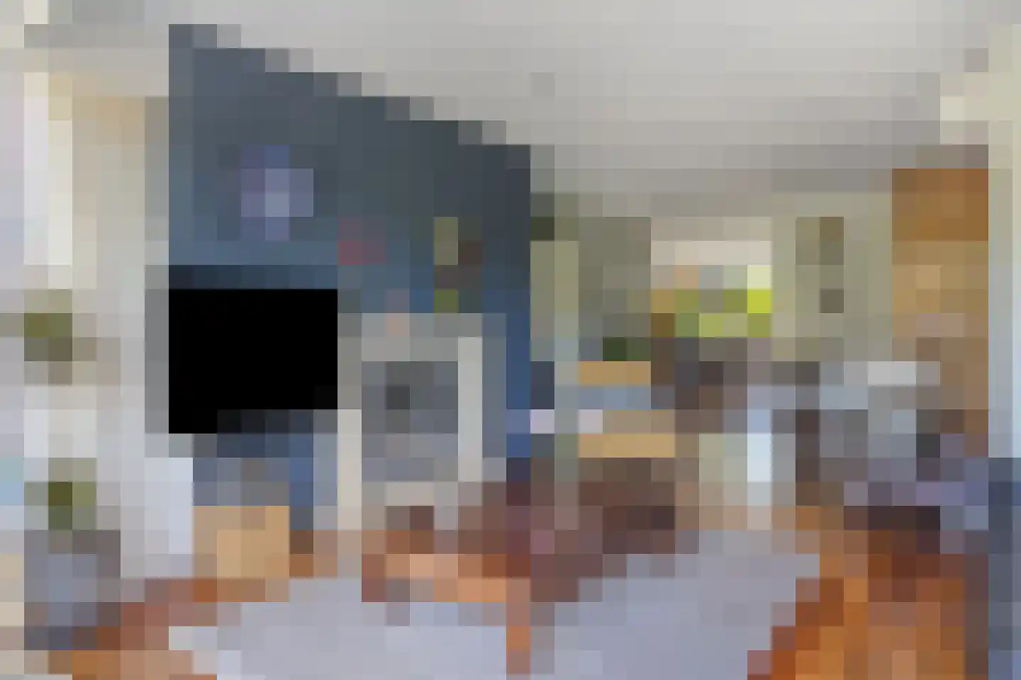 Laan van Othene 45 Terneuzen thumbnail 13