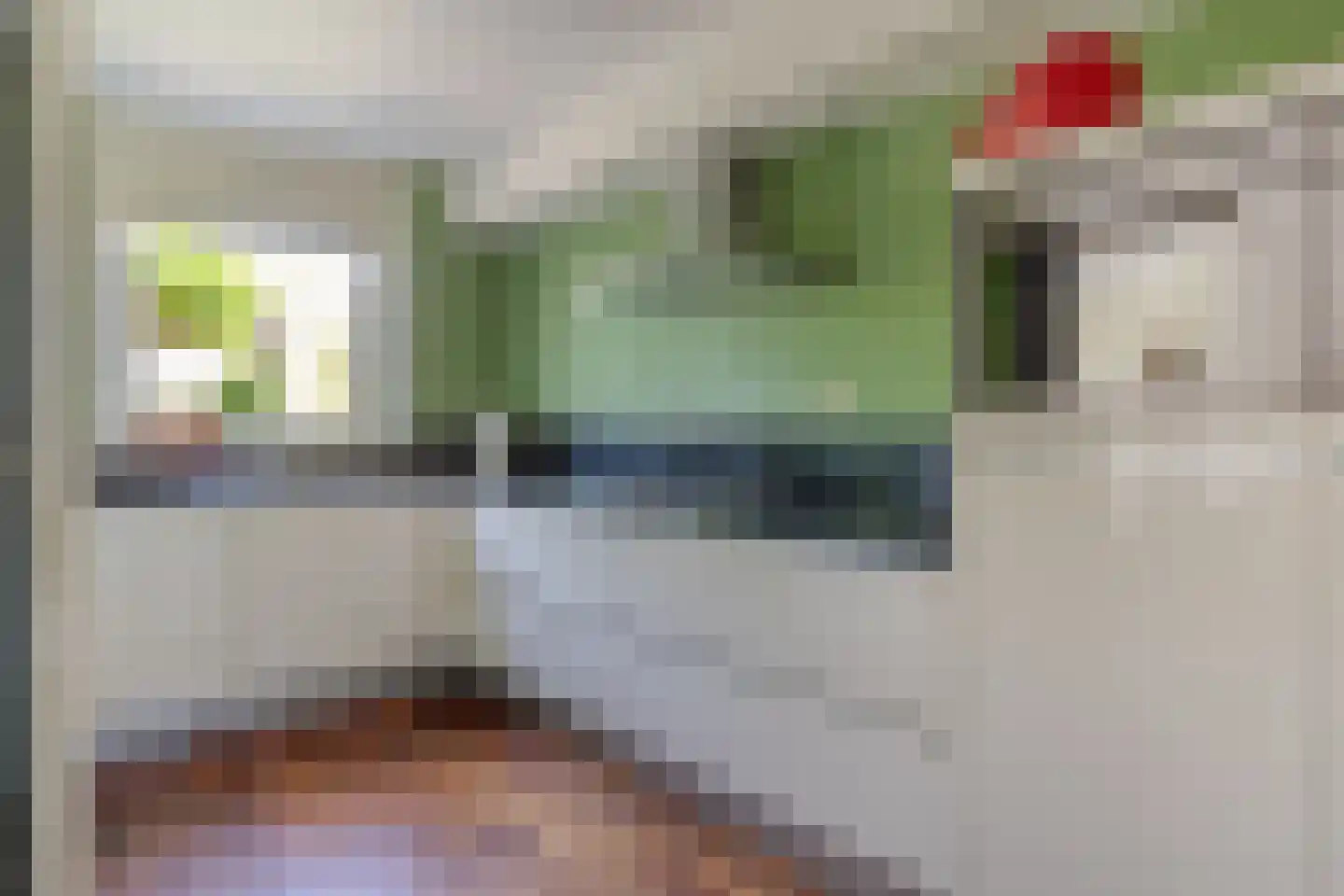 Laan van Othene 45 Terneuzen thumbnail 15