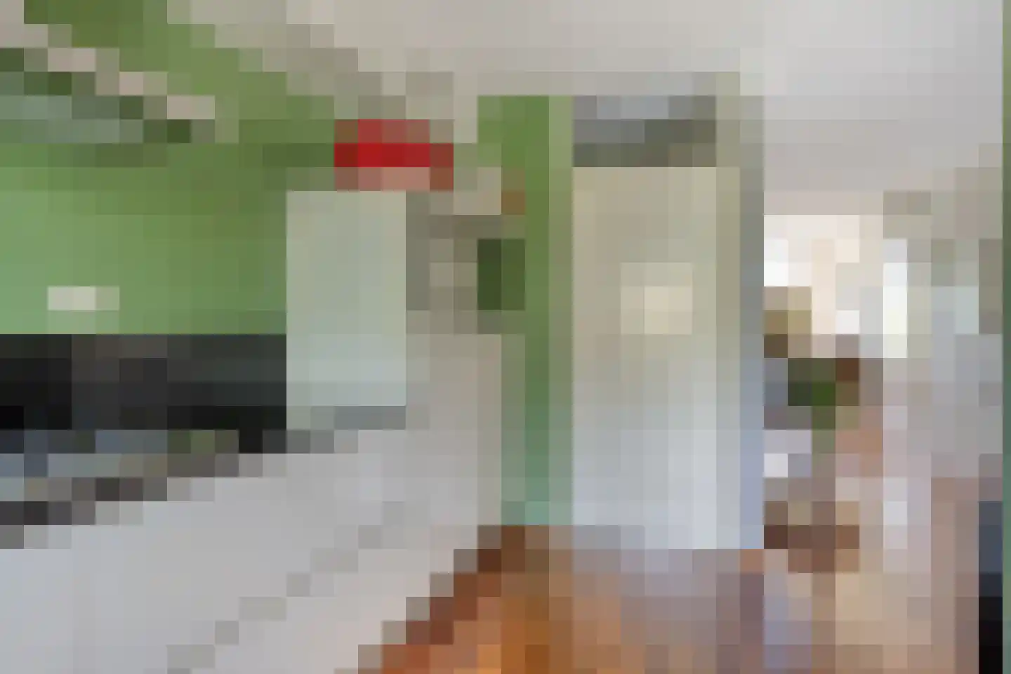 Laan van Othene 45 Terneuzen thumbnail 17