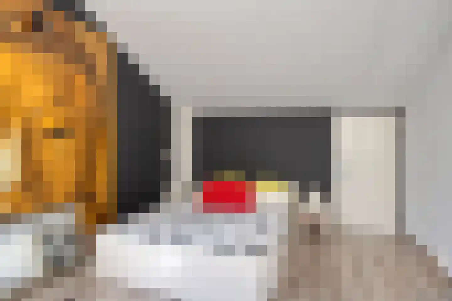 Laan van Othene 45 Terneuzen thumbnail 31