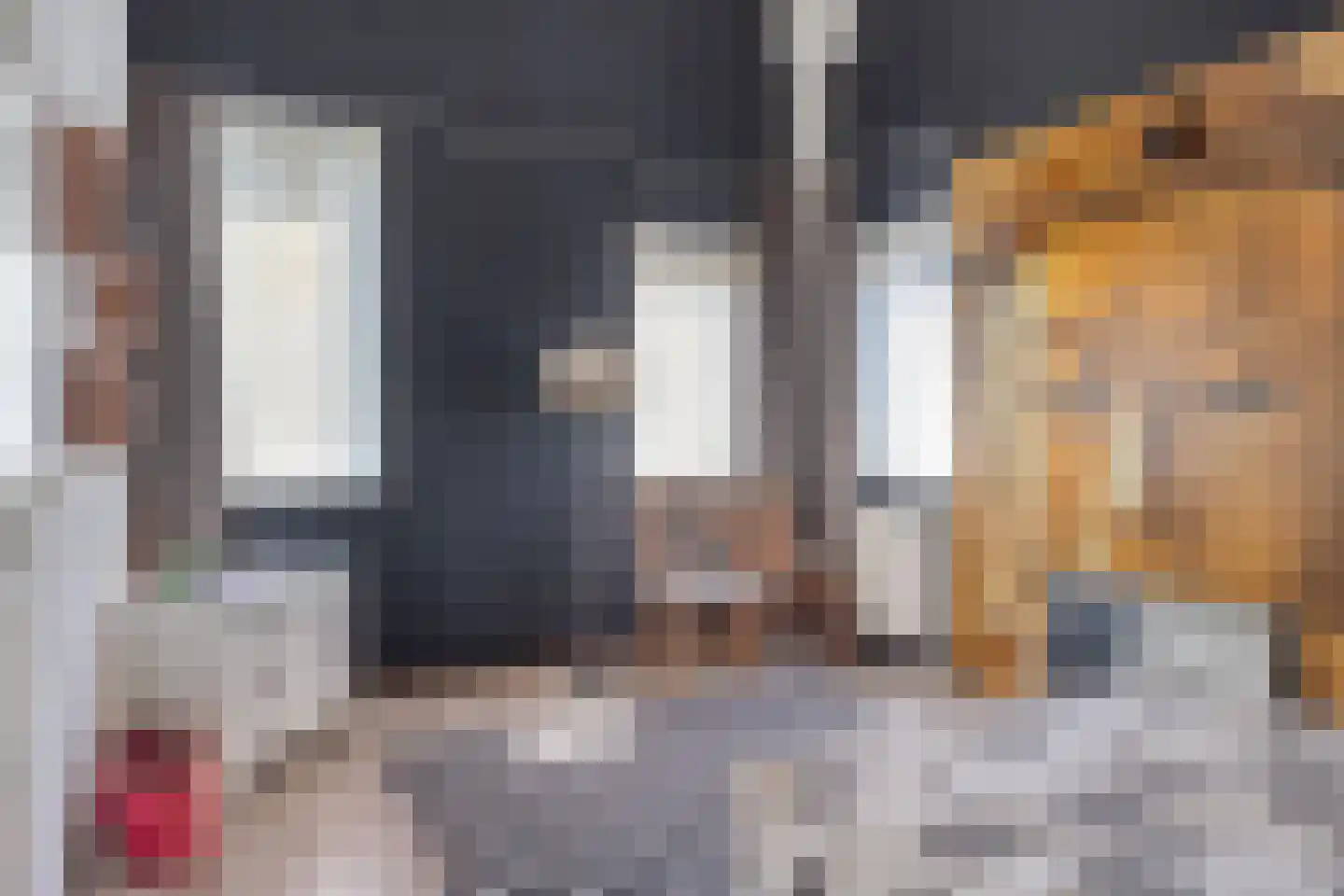 Laan van Othene 45 Terneuzen thumbnail 32