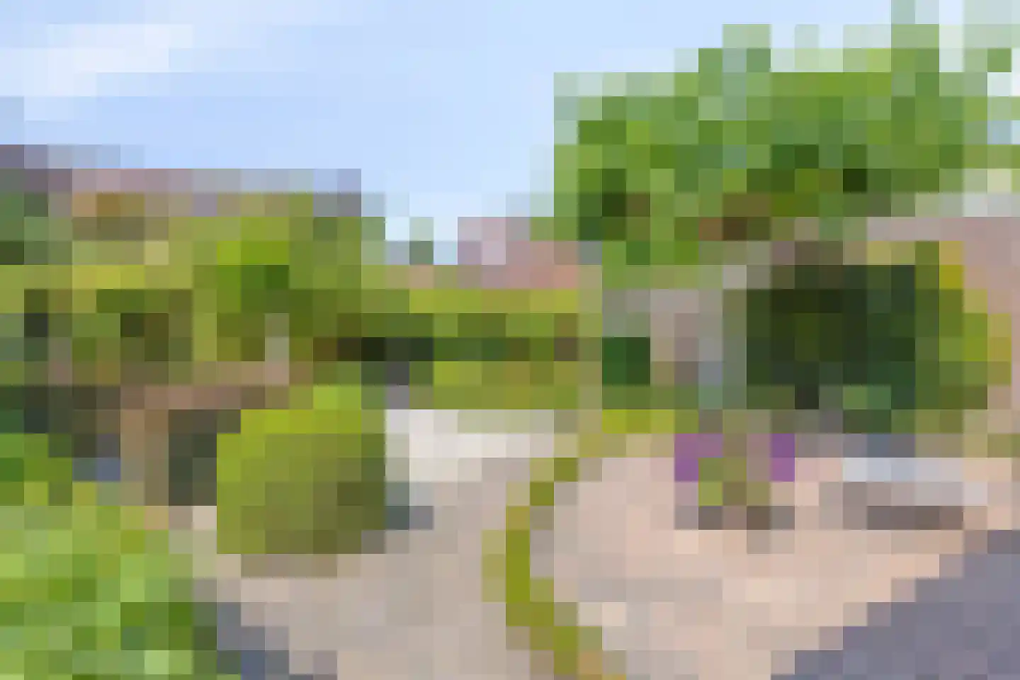 Laan van Othene 45 Terneuzen thumbnail 33
