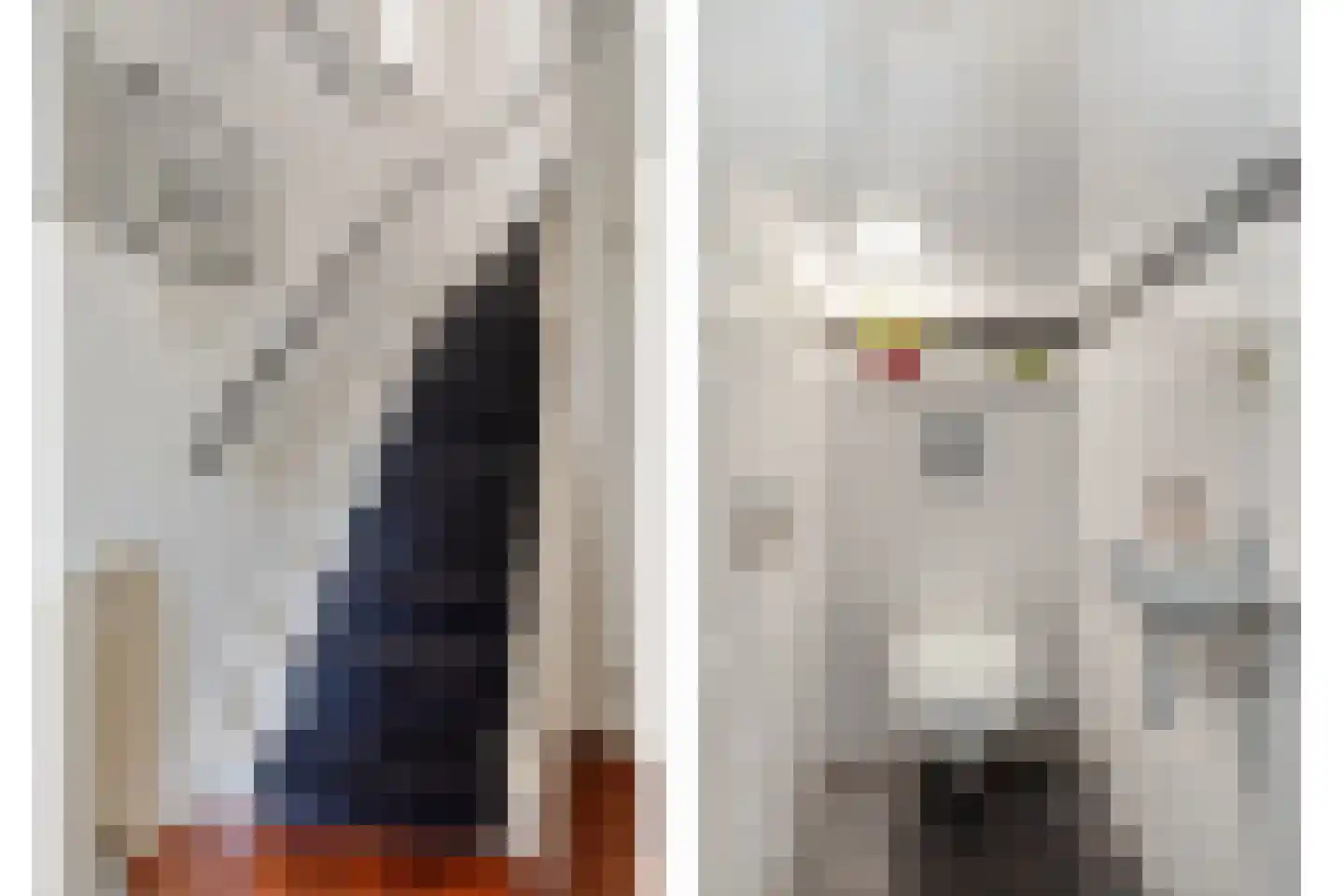 Laan van Othene 45 Terneuzen thumbnail 9