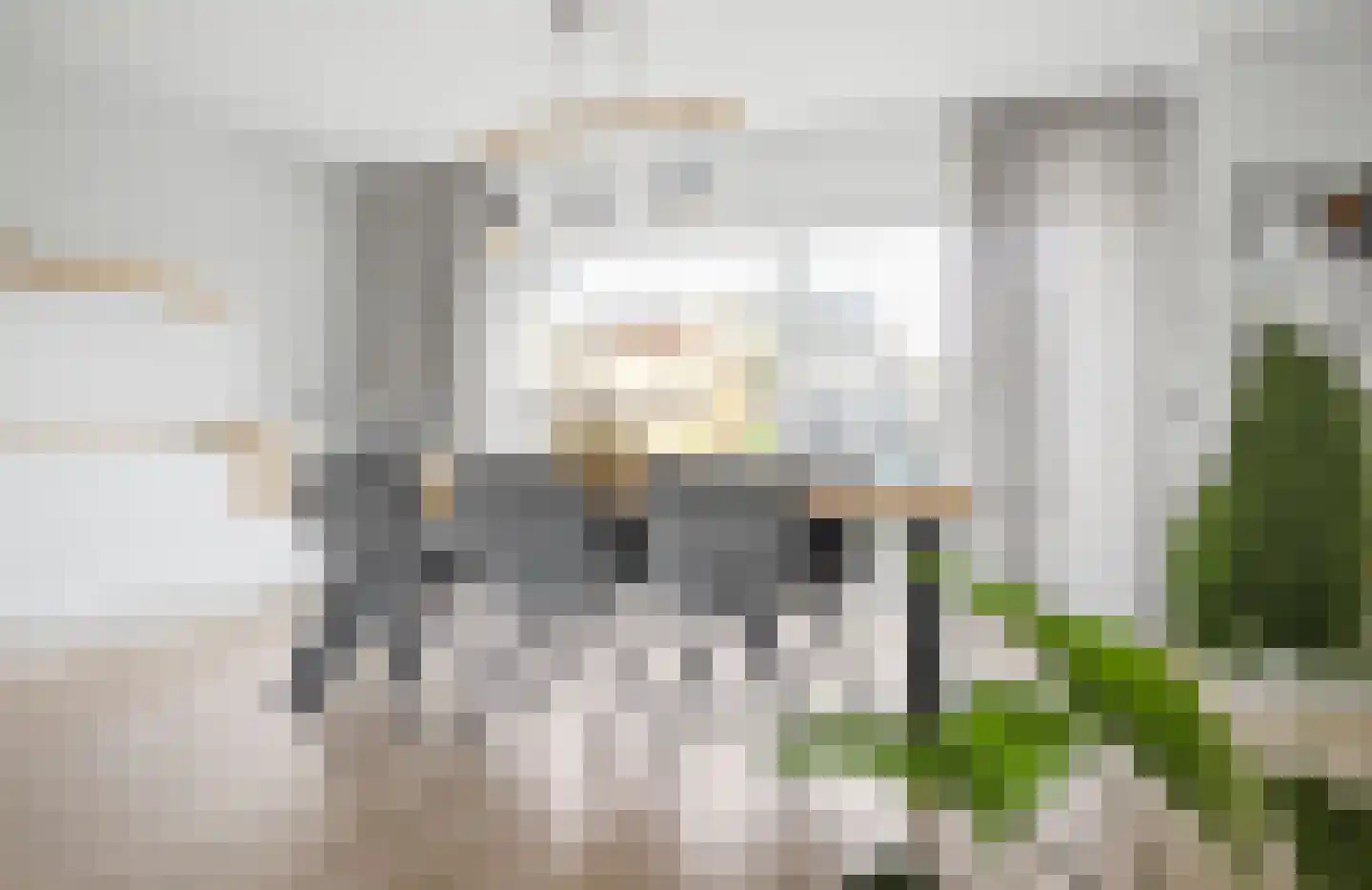 Laan van Othene 48 Terneuzen thumbnail 14