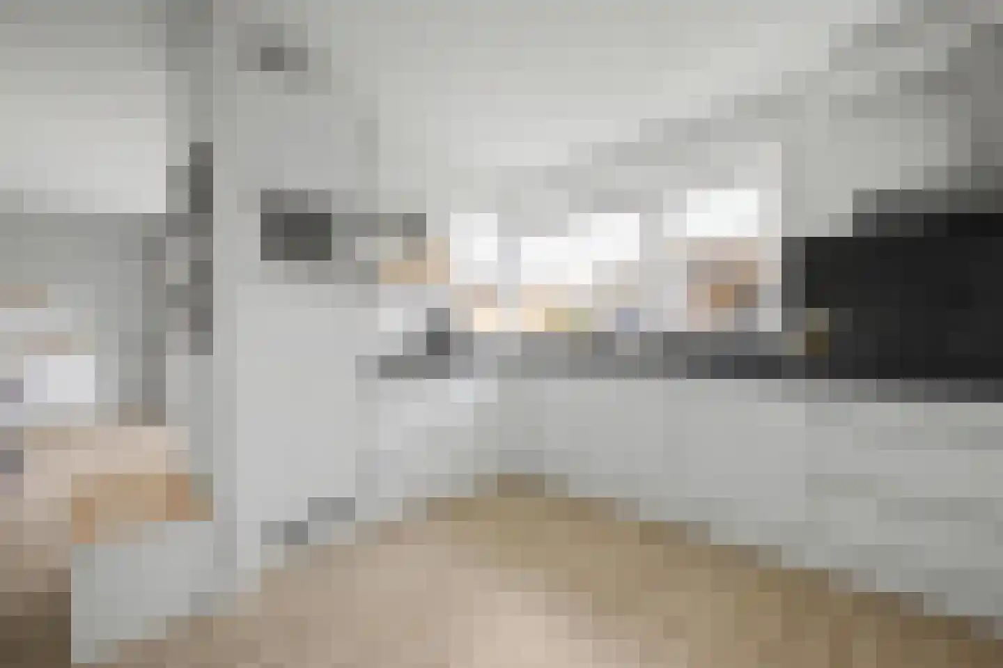 Laan van Othene 48 Terneuzen thumbnail 16