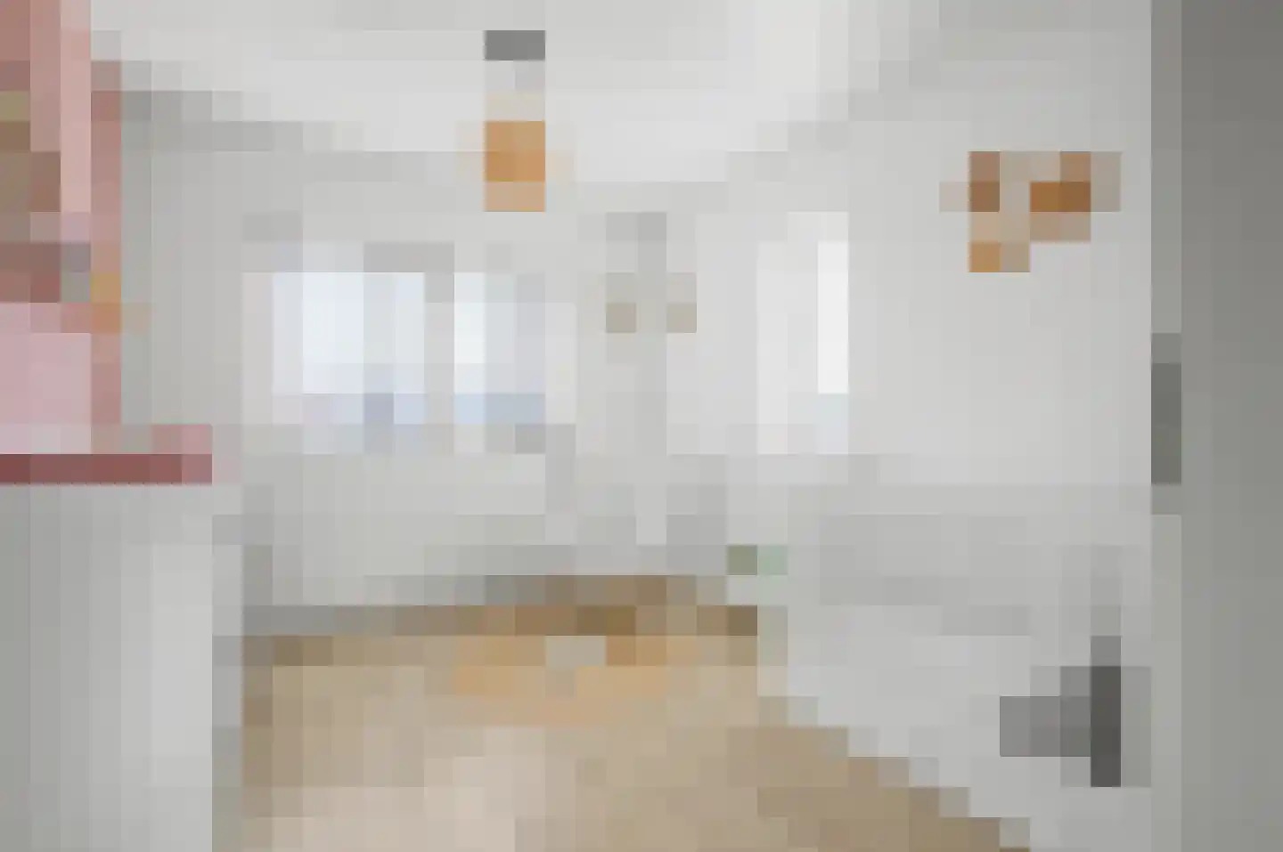 Laan van Othene 48 Terneuzen thumbnail 30