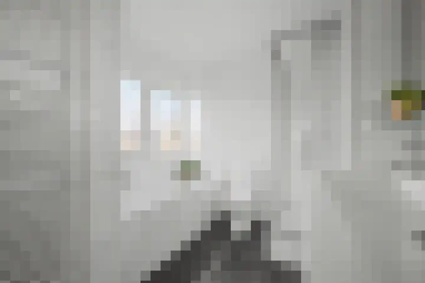 Laan van Othene 48 Terneuzen thumbnail 32