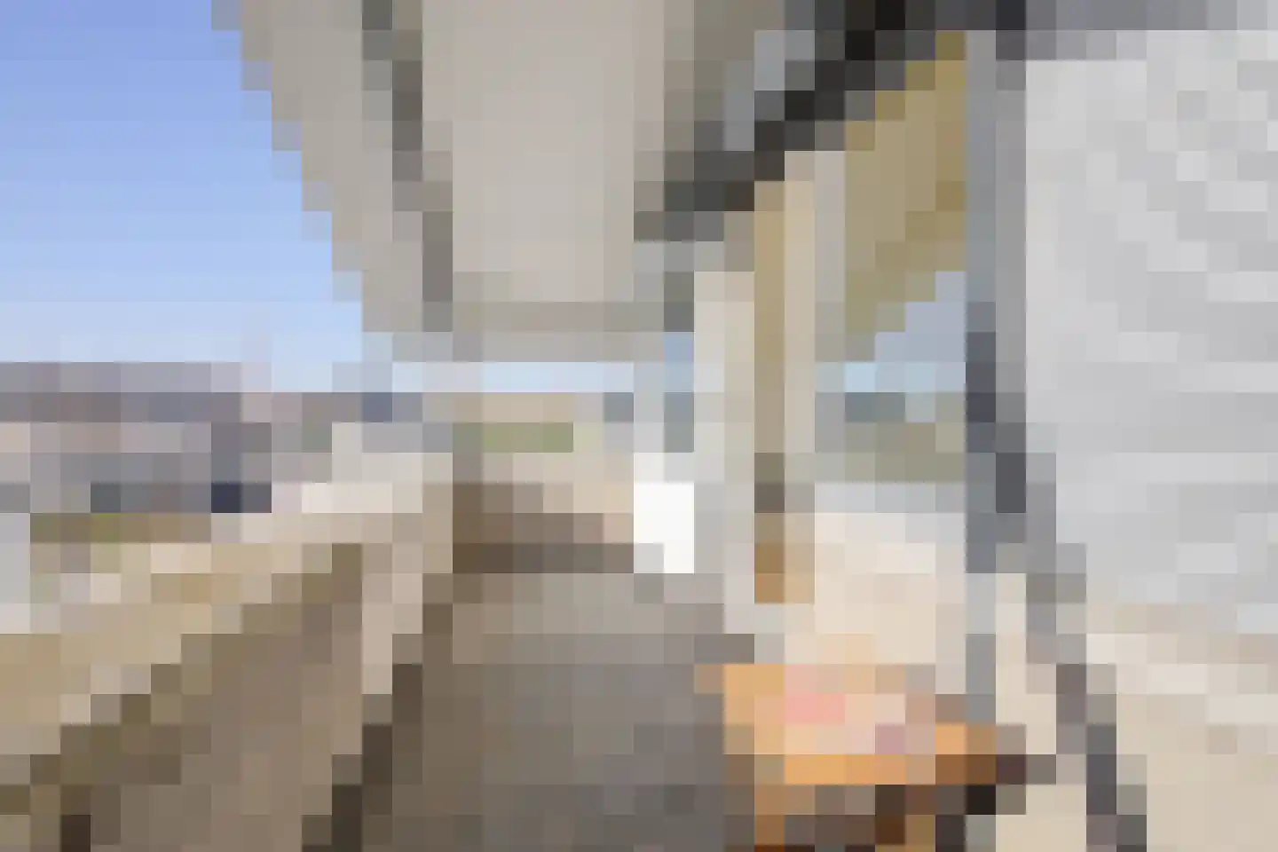 Laan van Othene 48 Terneuzen thumbnail 38