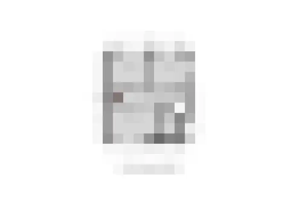 Laan van Othene 48 Terneuzen thumbnail 47