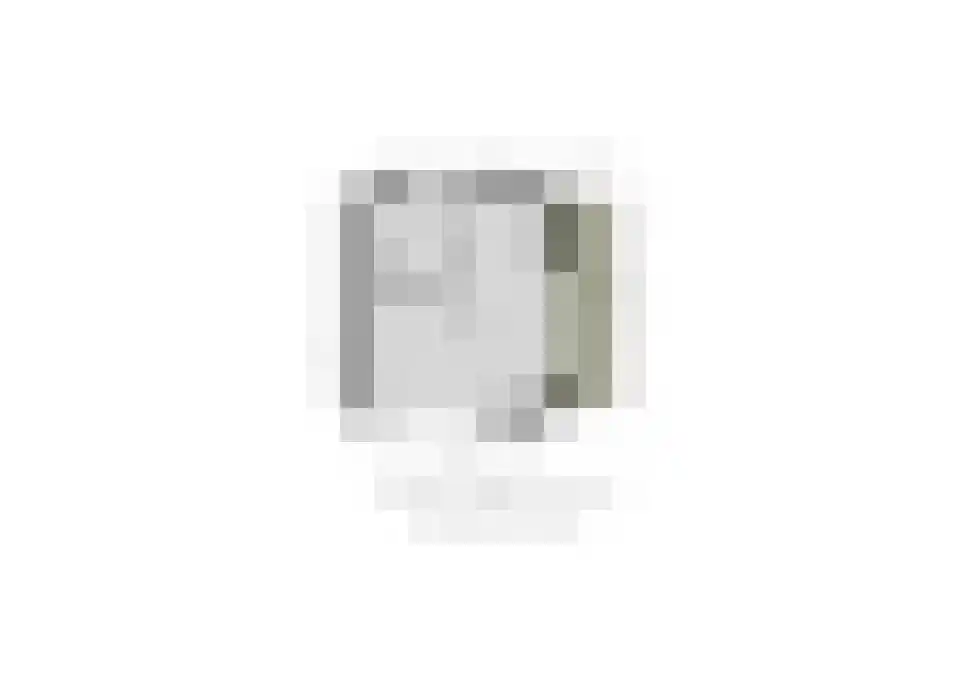 Laan van Othene 48 Terneuzen thumbnail 48