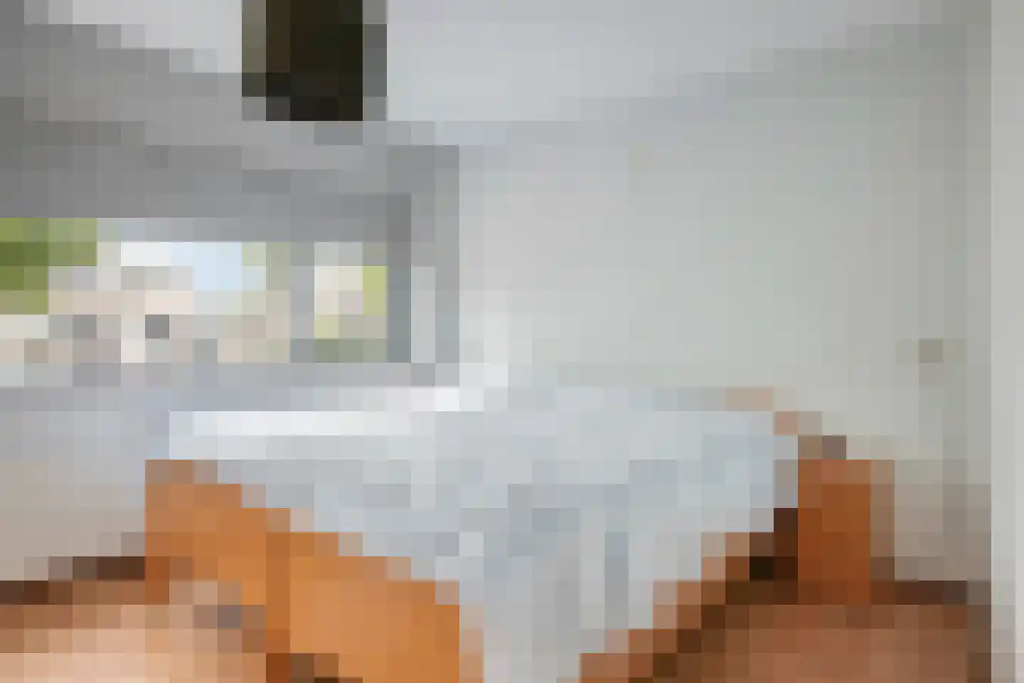 Laan van Othene 68 Terneuzen thumbnail 15